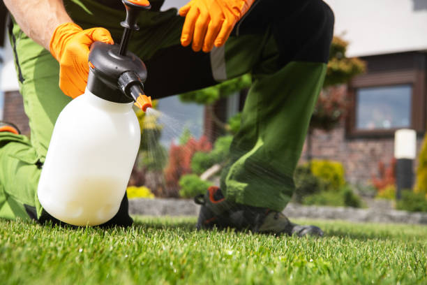 Best Pest Prevention Services  in Dania Beach, FL